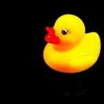 When trust is absent from a relationship, there isn't a relationship