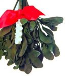 45 Tips For Surviving Christmas/The Holidays Whether You’re Single, In a Relationship, No Contact or...